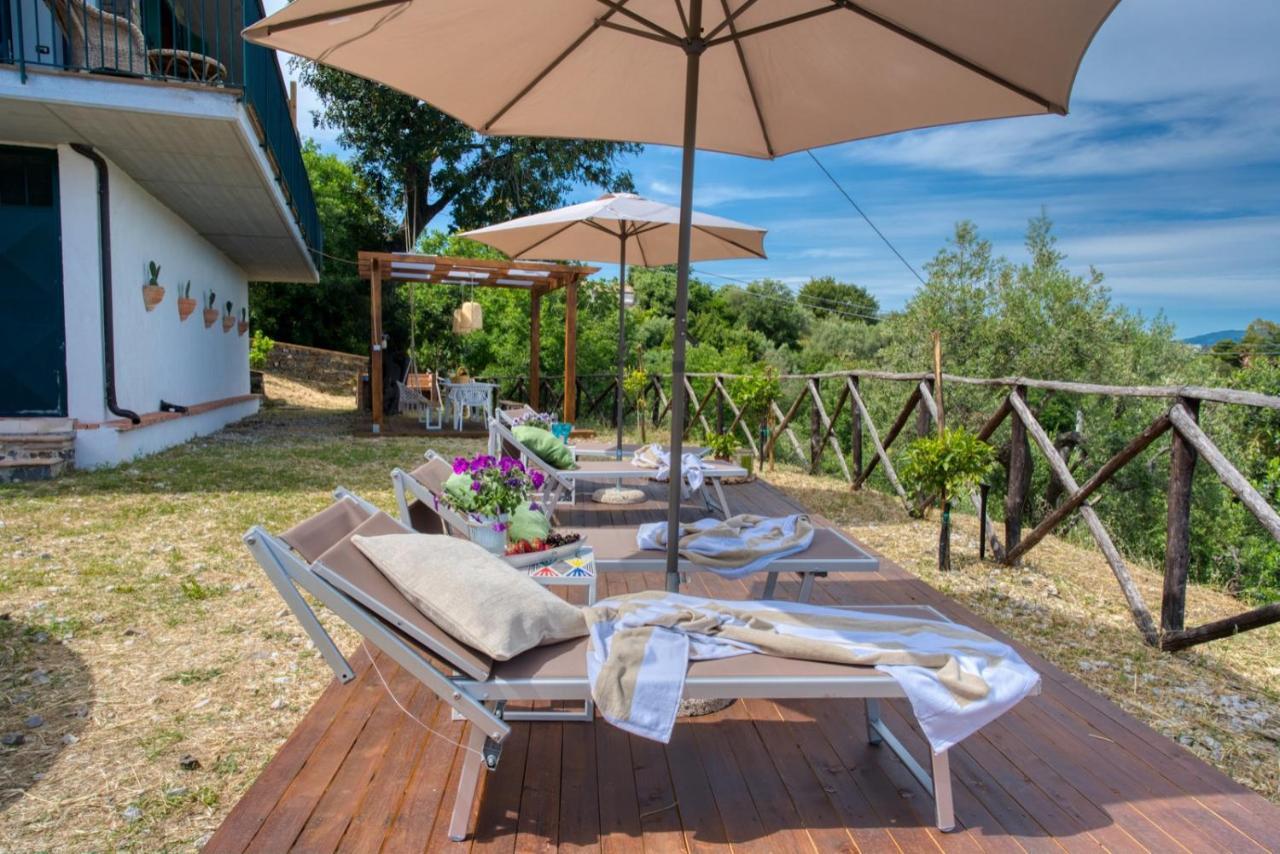 Borgo Eleatico Apartment กาซัลเวลิโน ภายนอก รูปภาพ